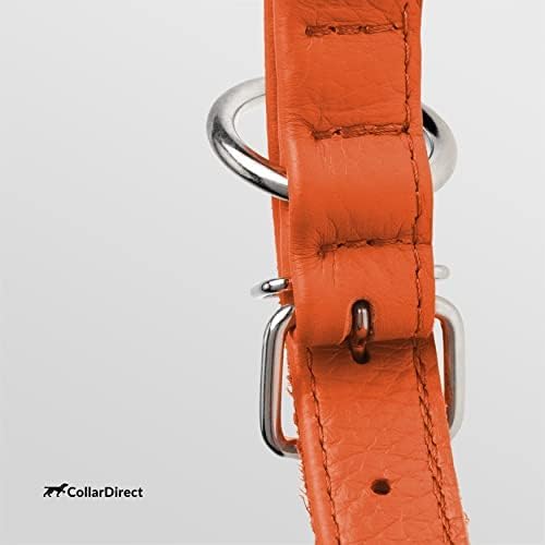 CollarDirect Rolled Leather Dog Collar, Soft Padded Round Puppy Collar, Handmade Genuine Leather Collar Dog Small Large Cat Collars 13 Colors (13-16 Inch, Orange Textured)