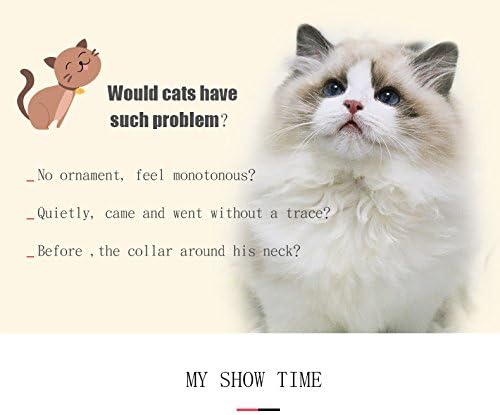 CHUKCHI Heart Bling Cat Collar with Safety Belt and Bell 8-11 Inches (Black)