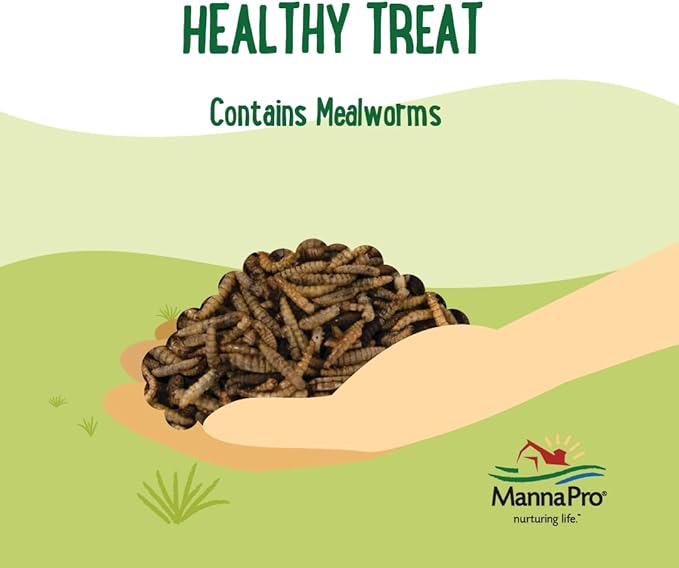 Manna Pro Mealworms Poultry Treat - High Protein, 100% Natural, 10oz