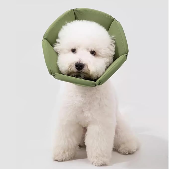 Cat Cone Collar - Soft Waterproof Elizabethan for Cats, Cute Green Flower Anti-Lick Recovery Collar, Adjustable Healing Collar for Wound Care & Surgery,L