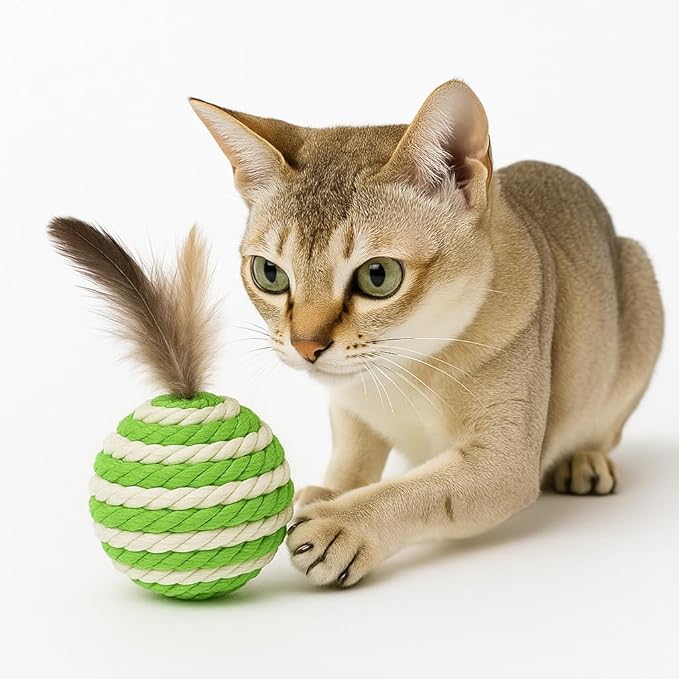 Ball for cat with Feathers - Balls for Catsโ Natural Toy for Indoor Cats โ Eco-Friendly, Durable, Interactive Play Balls for Kittens โ Pet-Safe Chew & Scratch Toys (Green)