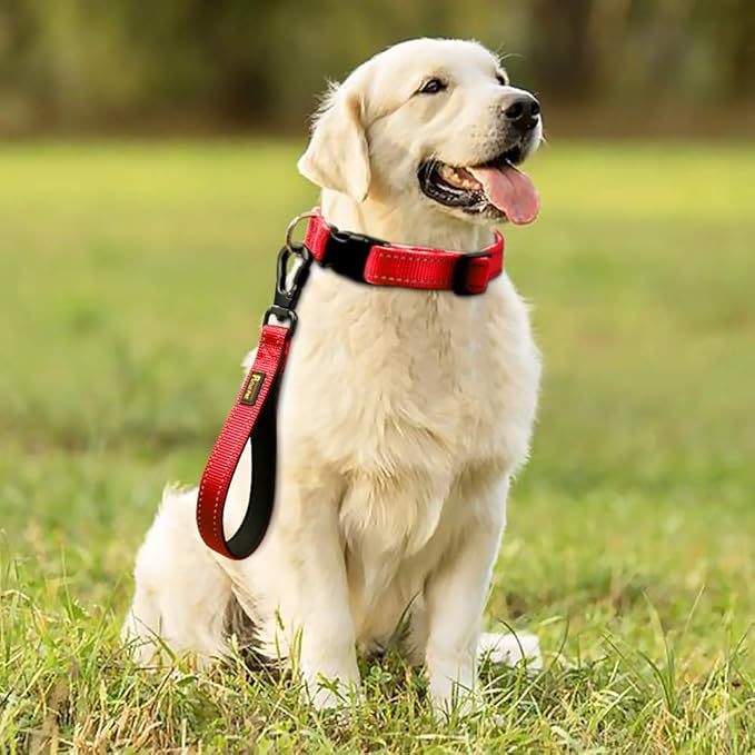 PLUTUS PET 10” Short Dog Leash, Reflective Nylon Padded Handle, Strong Traffic Leash with Carabiner Clip, Perfect for Large or Medium Dogs(10”,Red