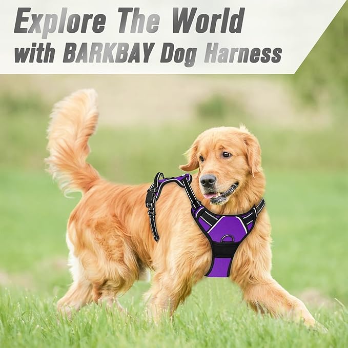 BARKBAY No Pull Dog Harness Front Clip Heavy Duty Reflective Easy Control Handle for Large Dog Walking(Purple,M)