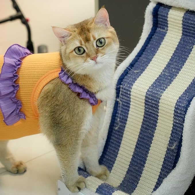 Cat Recovery Suit,Kitten Onesie After Surgery,E-Collar Alternative for Abdominal Wound and Skin Diseases,Soft Breathable Bodysuit After Spay(Orange-XL)