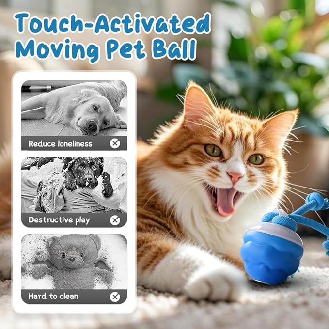 2026 New Interactive Pet Toy Ball, Smart Interactive Toy Ball for Cats & Dogs, Electric Rolling Pet Toy Ball, Rechargeable Interactive Cat Toys for Bored Indoor Cats Kittens to Keep Busy (Blue)
