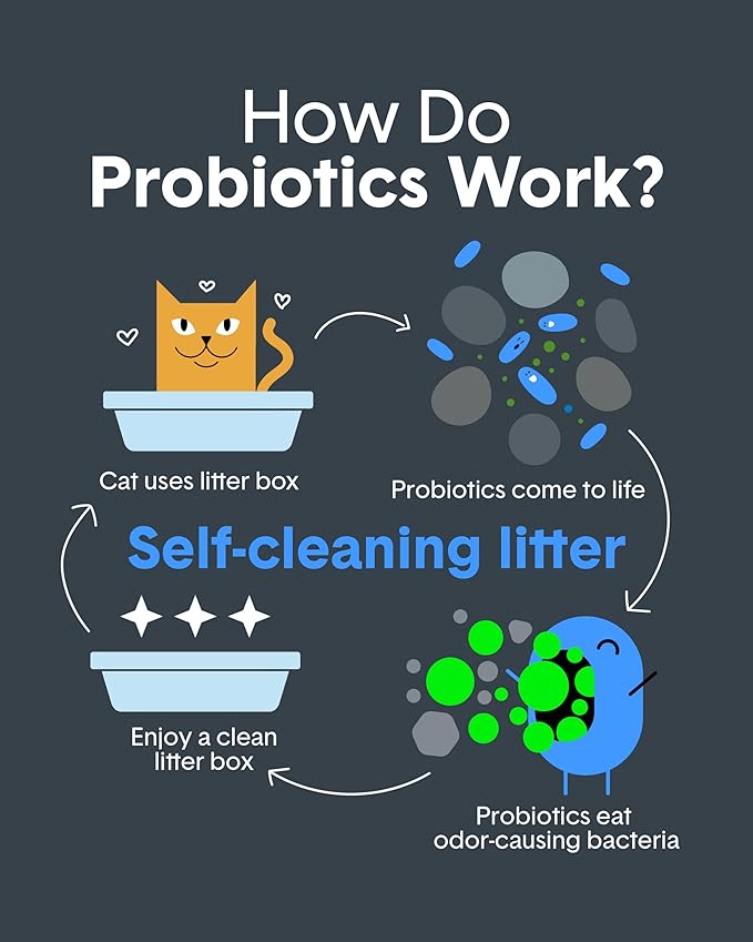 Boxie® Probiotic Cat Litter 40 Day Natural Odor Control, 40lb Clumping Kitty Litter (Clay)