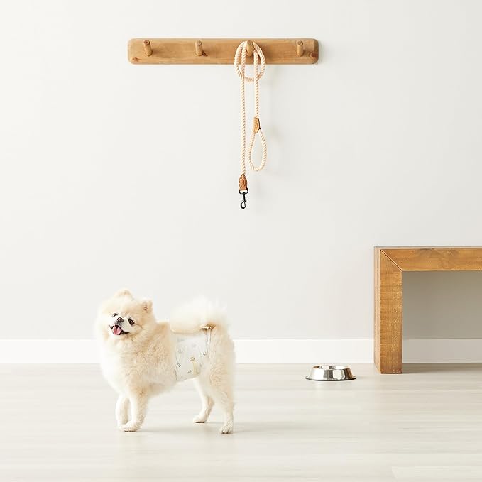 Amazon Basics Male Dog Diapers, 30 Count, X-Small, Ultra Absorbent Disposable Wrap with Secure Fit, Leakproof and Comfortable