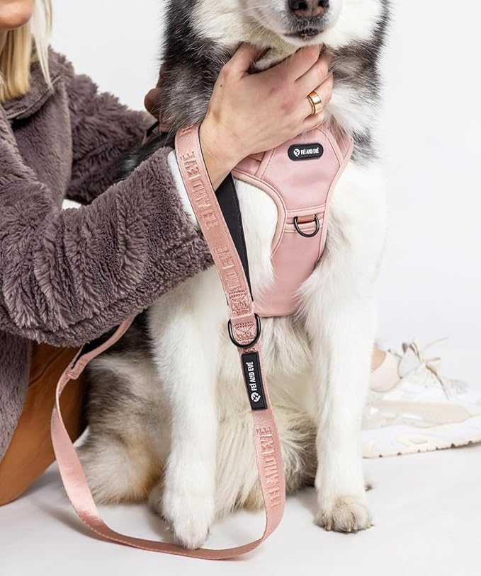 2025 New Edition, Fei & Eve MagEase Dog Harness - 3-Second Magnetic Buckles | 3-Point No-Pull Control | Heavy-Duty 900D Nylon | Dual Safety Handles | Breathable Mesh | Adjustable Fit | X-Large, Pink