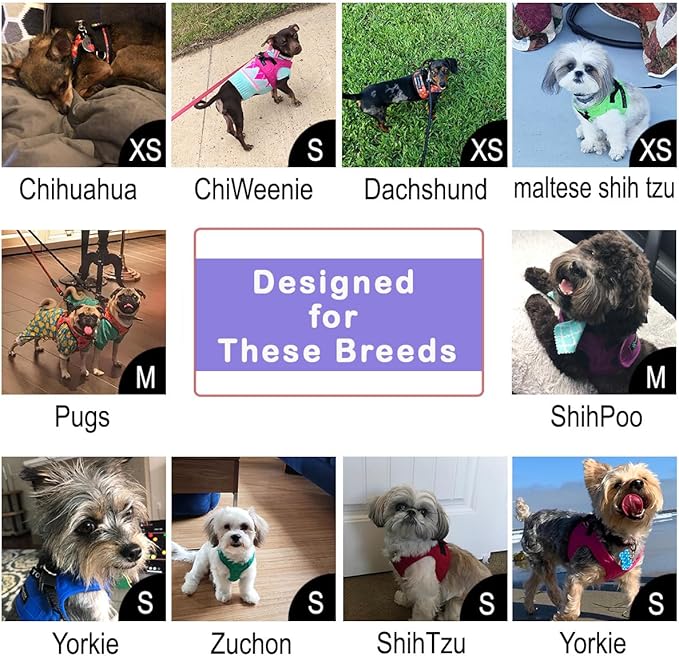 Comfort Fit Dog Harness No Pull No Escape Harness Adjustable Buckles Soft Padded Reflective Choke Step in Dog Vest with Easy Control Handle for Small Medium Large Dogs & Puppies