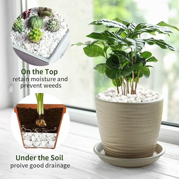 5lbs Natural White Pea Gravel Pebbles for Succulent Cactus, 3/8 Inch White Rocks for Plants Indoor, Vase Fillers, Bowl, Landscaping and Outdoor Garden Decorative White Stones