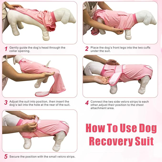 Idepet Dog Recovery Suit Female,Dogs Onesie Suit Surgery Male Breathable Pet Bodysuit for Spay Neuter E-Collar & Cone Alternative Surgical Suit Puppy Abdominal Anti Licking Wounds Shirt (Blue, M)