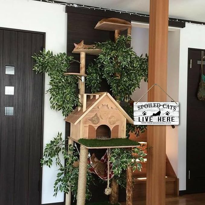 Cat Wall Decor For Cat Lovers Hanging Wood Cat Home Decor Fall Cat Wooden Sign Cat Christmas Decor Spoiled Cats And Their Staff Live Here Sign Cats Only Signs Cat Welcome People Tolerated Sign 12x6 In