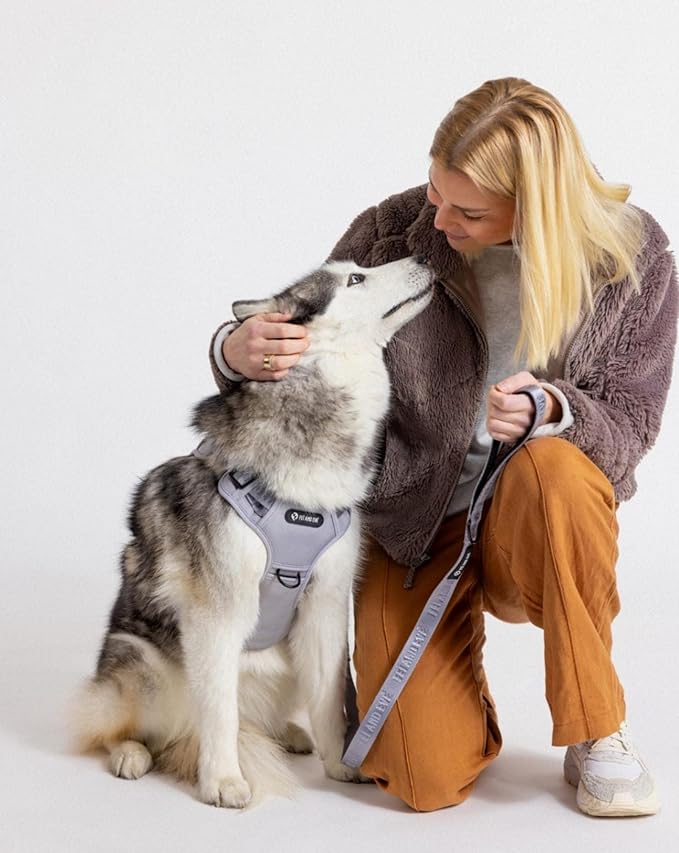 2025 New Edition, Fei & Eve MagEase Dog Harness - 3-Second Magnetic Buckles | 3-Point No-Pull Control | Heavy-Duty 900D Nylon | Dual Safety Handles | Breathable Mesh | Adjustable Fit | Medium, Gray