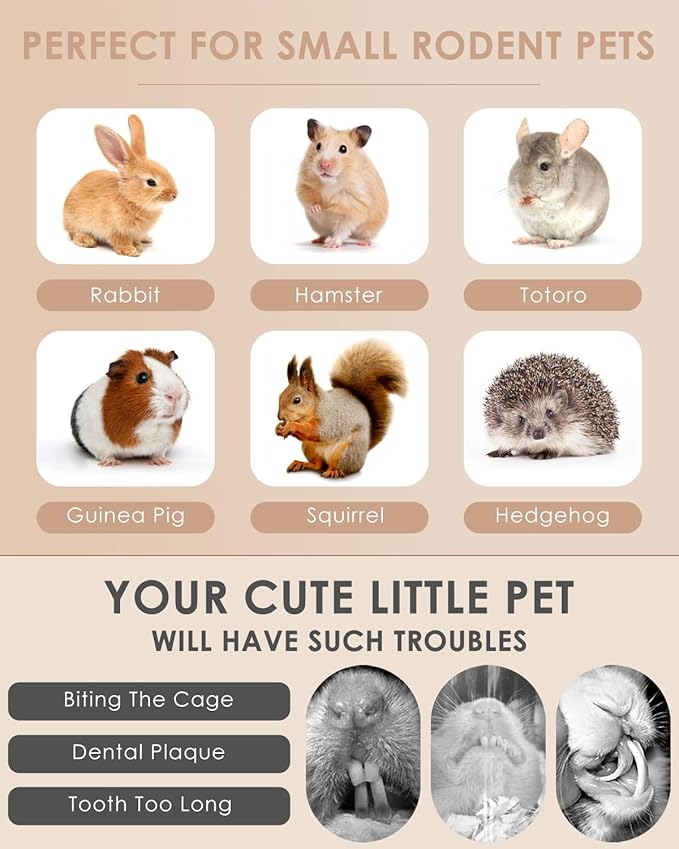 Bissap 72 PCS Rabbit Chew Sticks, Natural Timothy Hay Pumpkin Sugar Beet Carrot Strawberry Rose Dahlberg Daisy Forget-me-not Flower Treat for Bunny Chinchilla Guinea Pig Hamster Small Pet Molar Snack