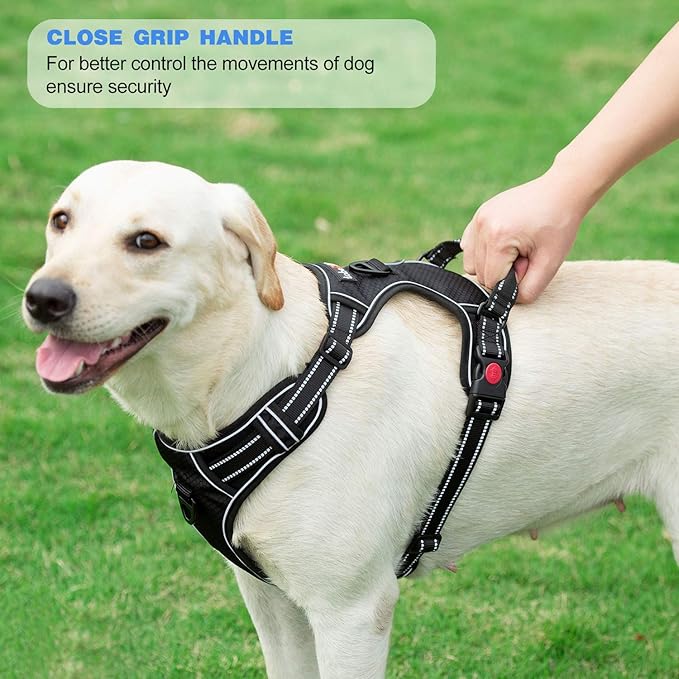 No Pull Dog Harness Adjustable Reflective Oxford Easy Control Medium Large Dog Harness with A Free Heavy Duty 5ft Dog Leash (S (Chest: 17.5"-21"), Red Harness+Leash)