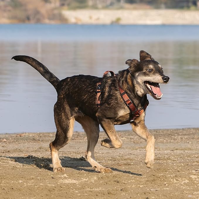 CLEPAWS Dog Harness for X-Large Dogs, No Pull Dog Harness Easy Walk with Metal Hardware, Ergonomic Y-Shaped Design, Soft Padding, Padded Handle, Durable High-Tensile Nylon (Canyon Red, XL)