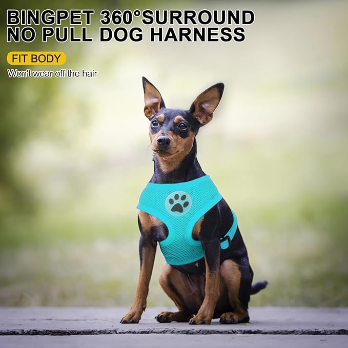 BINGPET No Pull Dog Harness, Soft Mesh Breathable All Weather Vest, Safety Protection Design, Durable Adjustable Step-in Easy Walk Dog Harness for Small Medium Large Dogs (Royal Blue, S)