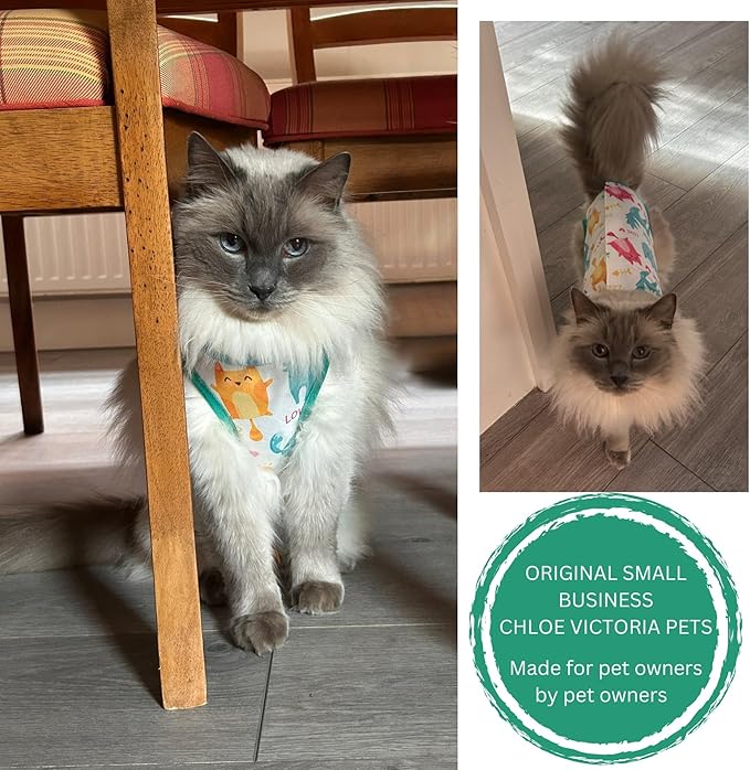 Cat Recovery Suit Surgical Onesie for Post Surgery/Neuter/Spay. Protection for Wounds and Skin infections for Male/Female Cats. Comfortable, Safe, (no Loose Cords) Cone Alternative (Medium)