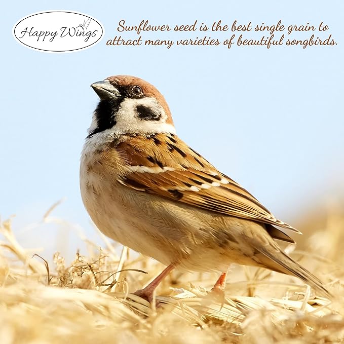 Black Oil Sunflower Seeds Wild Bird Food- 15 Pounds | No Grow Seed | Bird Seed for Wild Birds