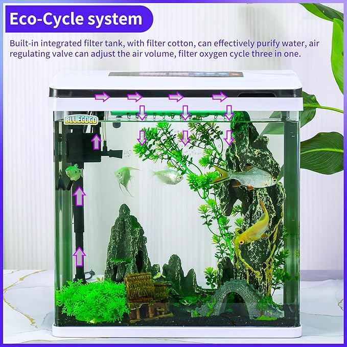 8 Gallon Fish Tank Starter Kit: Glass Aquarium w/Eco-Cycle Filter, 7-Color LED & Air Pump for Betta. Features 360° Crystal View, Temp/Time Display & Quiet Operation All-in-One Aquarium Kit