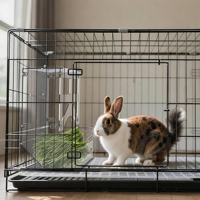 Acrylic Rabbit Hay Feeder with Lid, Transparent Hanging Food Dispenser Hay Feeder for Bunny Rabbits Guinea Pig Cage Chinchillas Hamsters Small Pets and Animals(Large