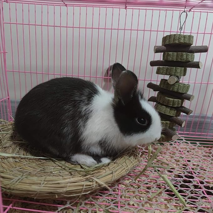 Generic Rabbit Bunny Treat Hamster Chew Toys Grass Cakes Heart Shaped Chew Toys Pets Treats for Bunny Rabbits Hamster Chinchilla Guinea Pigs 2Pcs