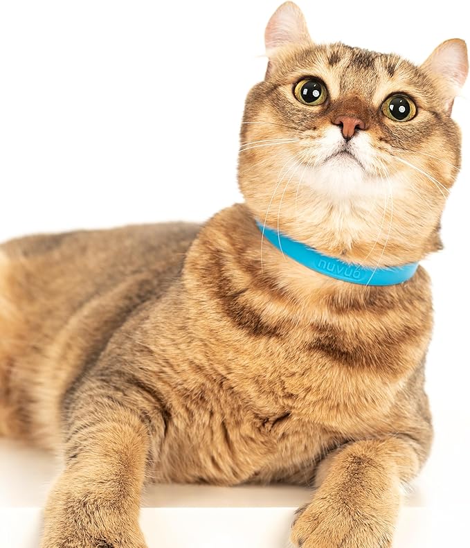 Breakaway Cat Collar - Soft, Comfortable, and Lightweight Safety Buckle Collar with ID Tag Ring for Outdoor Cats and Sensitive Skin Kittens by Nuvuq (6 ⅞" to 10 ¼", Blue)