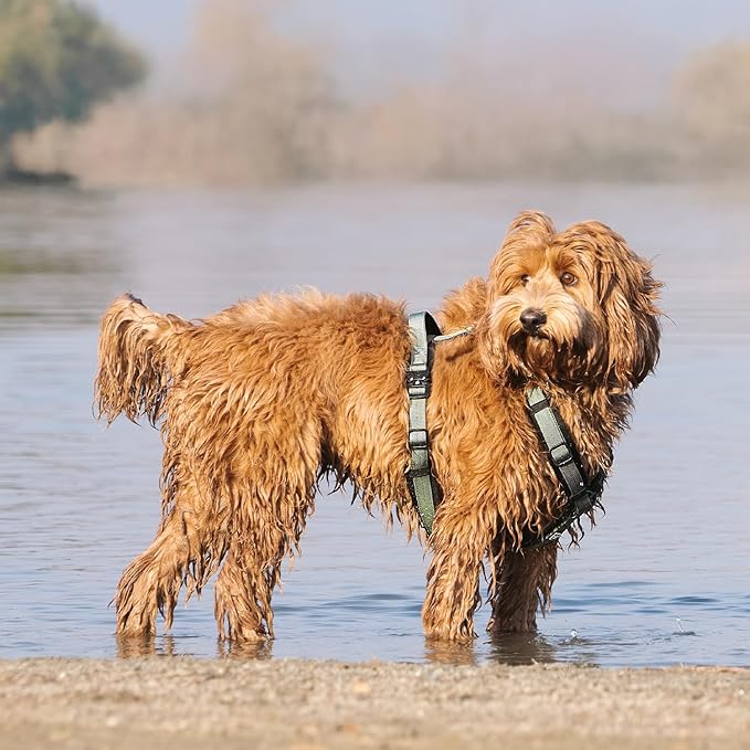 CLEPAWS Dog Harness for Large Dogs, No Pull Dog Harness Easy Walk with Metal Hardware, Ergonomic Y-Shaped Design, Soft Padding, Padded Handle, Durable High-Tensile Nylon (Seabreeze, L)