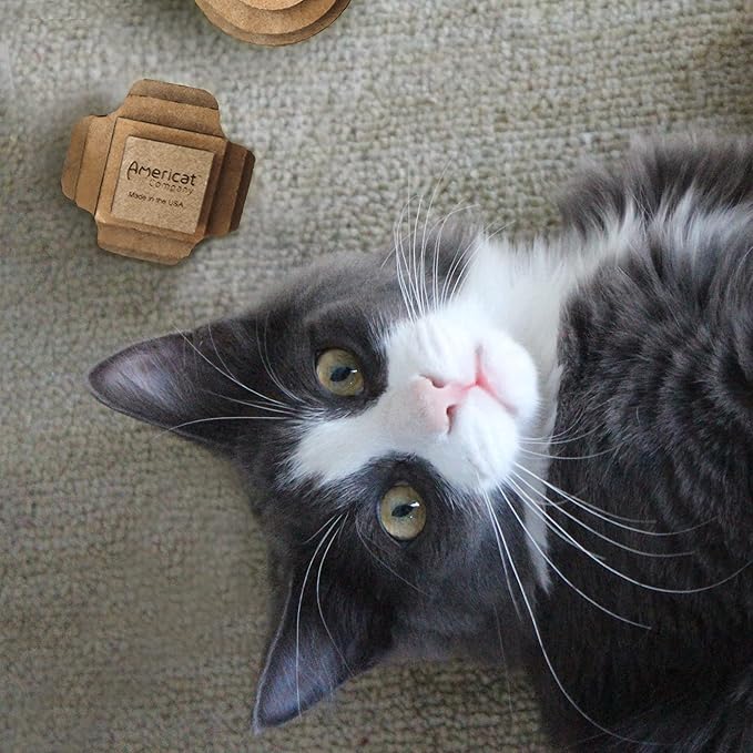 Cat Ball Toys by Americat – Made in USA – Safe Cardboard Cat Toys – for Interactive and Independent Play, Exercise & Stress Relief for All Breeds & Ages (Variety Pack of 3 Balls)