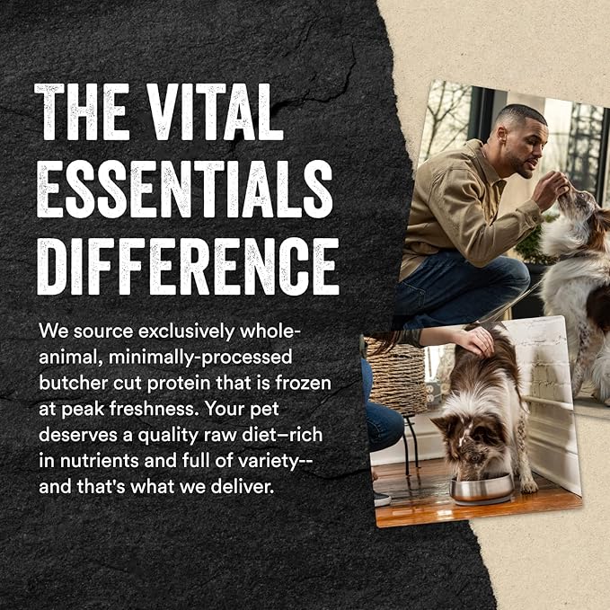 Vital Essentials Chicken Breast Dog Treats, 2.1 oz | Freeze-Dried Raw | Single Ingredient | Premium Quality High Protein Training Treats | Grain Free, Gluten Free, Filler Free