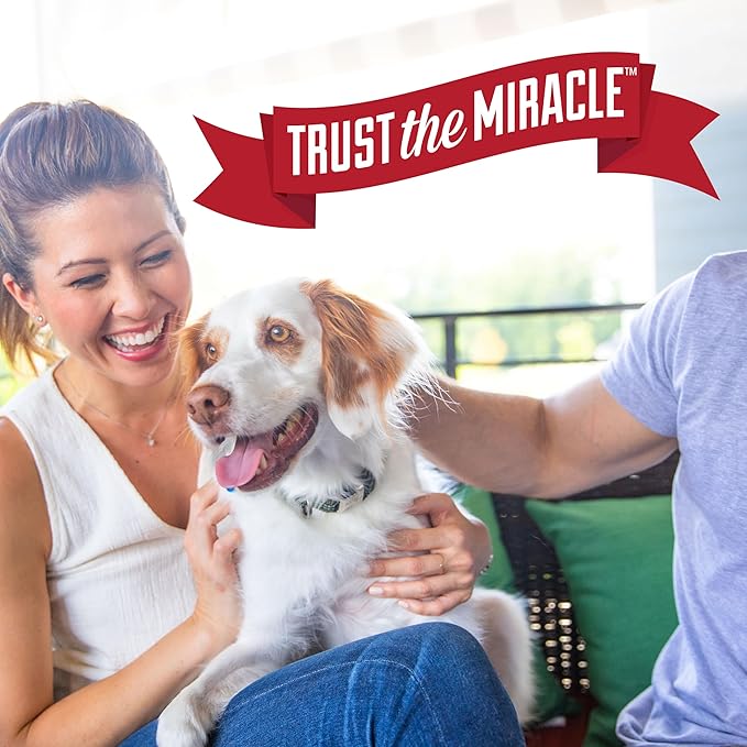 Nature’s Miracle Urine Destroyer Plus Dog, 32 Ounces, Enzymatic Formula, Ready-to-Use