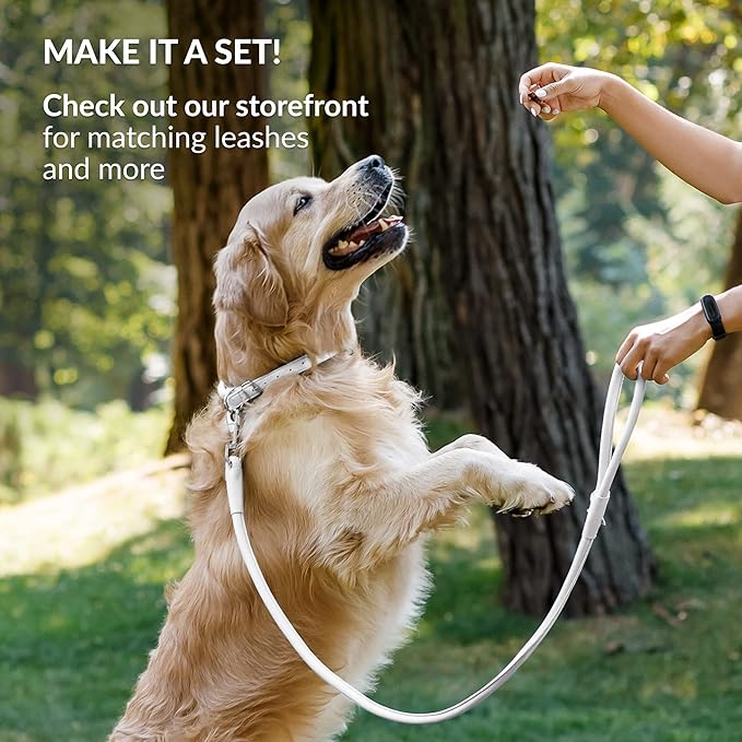 CollarDirect Rolled Leather Dog Collar, Soft Padded Round Puppy Collar, Handmade Genuine Leather Collar Dog Small Large Cat Collars 13 Colors (6 Inch, White Smooth)