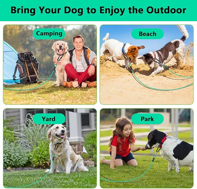 Dog Tie Out Cable 10FT-500Lbs,Heavy Duty Dog Leads&Tether for Yard with Swivel Hook,Small Large Dogs Leash Line for Outside,Rust Chew Proof Dogs Run Cable for Outdoor Camping (Green Cyan, 10FT)