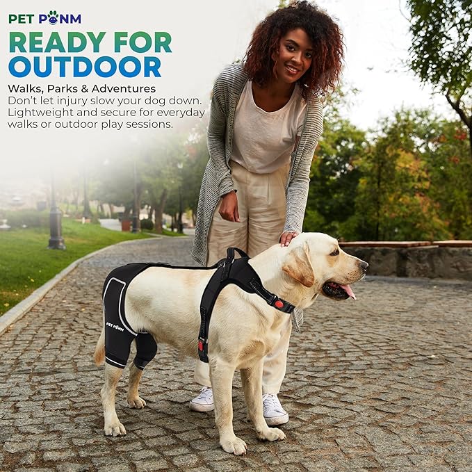 Comfortable Dog Knee Brace for Both Hind Legs with Harness - for ACL Tear, Luxating Patellae, Osteoarthritis & Instability - for Recovery & Injury Prevention in Active/Aging Dogs - (Medium)