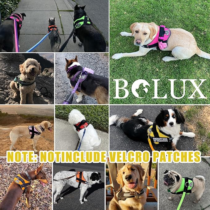 Bolux Dog Harness, No-Pull Reflective Dog Vest, Breathable Adjustable Pet Harness with Handle for Outdoor Walking - No More Pulling, Tugging or Choking (Large (Pack of 1), Watercolour)