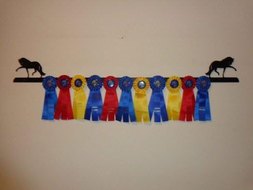 Showoff Black 14ga Steel Award Rack - Horse, Wall Mount or Stall Mount, USA Made