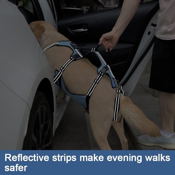 Coodeo Dog Lift Harness, Full Body Support & Recovery Sling, Pet Rehabilitation Lifts Vest for Old Dog with Arthritis Walk(Bule,L)