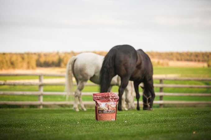 Glow 10 lb, Aids in Weight Gain and Improves Coat and Condition, Includes Omega-3’s