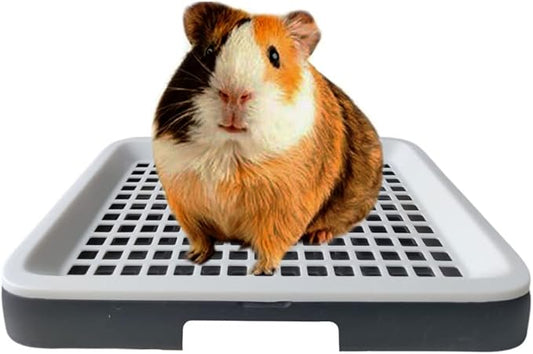 Guinea Pig Litter Tray Pan with Grate for Cage - Small Animal Potty Trainer - Rattie, Chinchilla, and Pet Litter Box - Easy-Clean, Space-Saving Design - 9.8x7.6x1.18 in