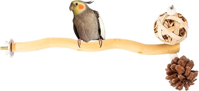 Bird Toys Perch Stand for Cage with Pine Cones, Natural Parrot Toys, Small Chewing Sticks Toys Bird Cage Accessories for Conures Parakeets Cockatoo African Grey Parrots (1PCS)