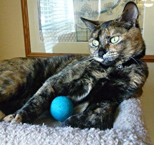 Wool Cat Toys - Felt Cat Toy Balls for Small Pet Fetch and Play - Eco Friendly Quiet Wool Ball Cat Toy for Cats and Kittens - Choose Your Colors (Red)