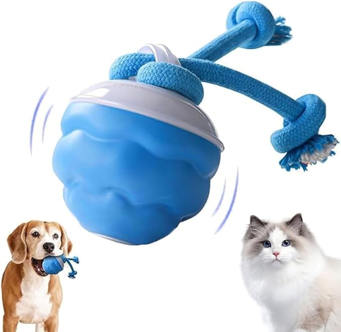 2026 New Interactive Pet Toy Ball, Smart Interactive Toy Ball for Cats & Dogs, Electric Rolling Pet Toy Ball, Rechargeable Interactive Cat Toys for Bored Indoor Cats Kittens to Keep Busy (Blue)