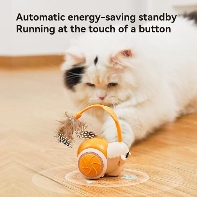 Cat Toys for Bored Indoor Adult Cats,Remote Control Cat Toy with 4 Directions,LED Lights Interactive Remote Control Dog Toy (Orange)