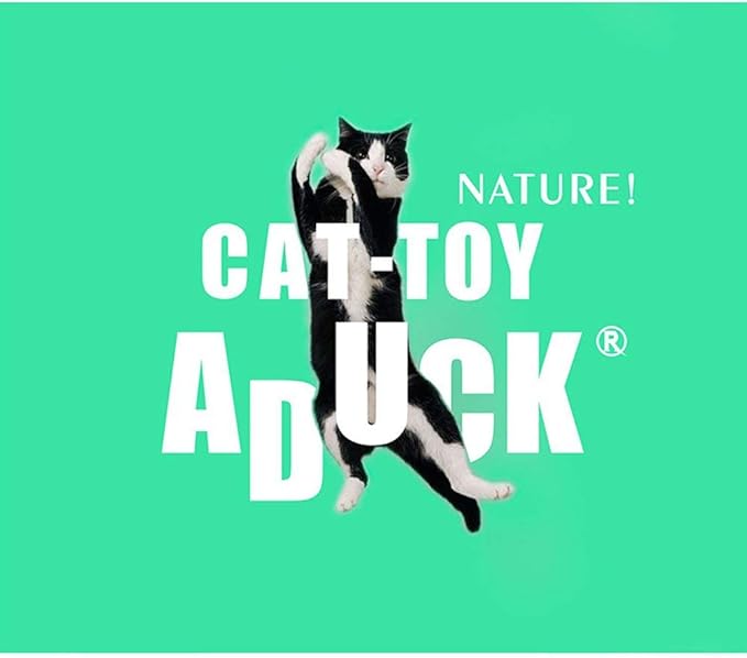 ADUCK Interactive Cat Teaser Wand Toy with Tassels - Durable Cat Chaser for Indoor Kitten Exercise, Boredom Relief & Training Play - Assorted Color, 1 Pack