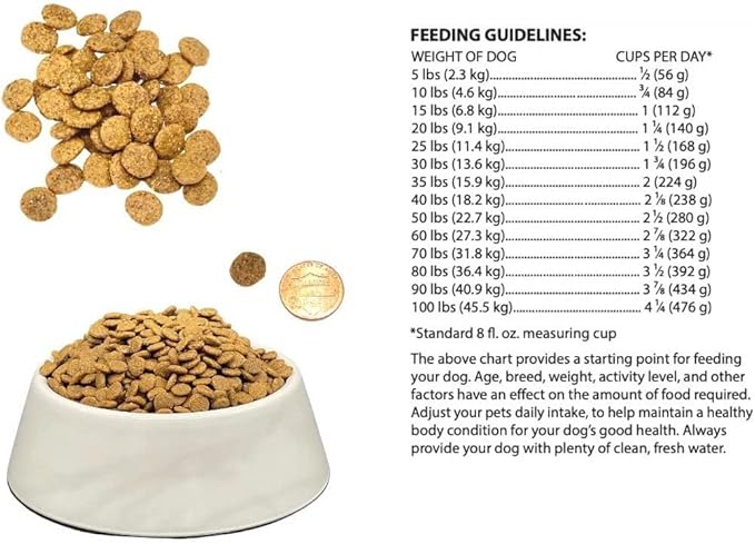 Bench & Field Holistic Natural Adult Dry Dog Food, Chicken Meal and Brown Rice Recipe 6.6 lb Bags (Pack of 2)