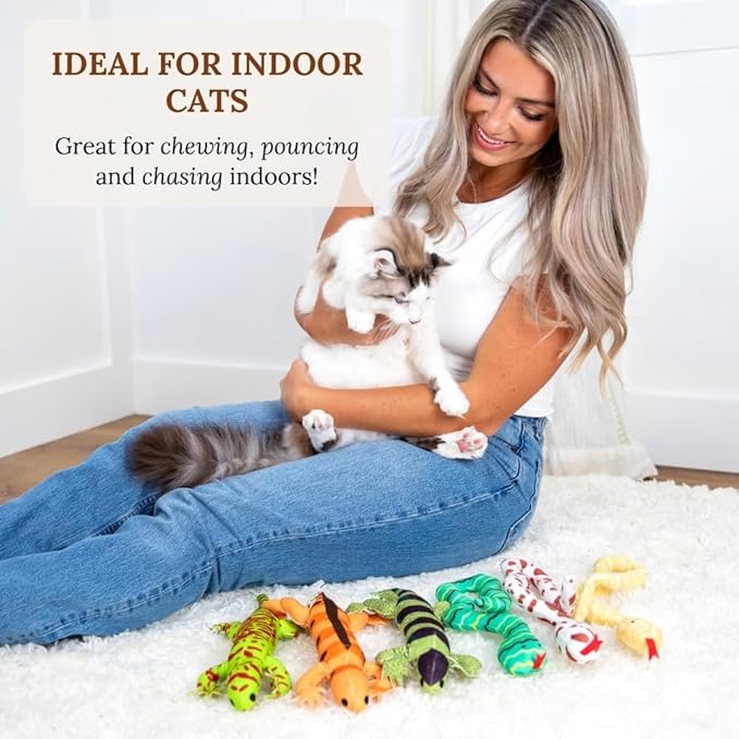 Cat Toy Snake Lizard Catnip Toys Chew Bite Resistant Toys for Indoor Cats Boredom Relief Teeth Cleaning Interactive Funny Cute Kitten Cat Lover Gifts Set of 6 Realistic Hunt Prey Activity Games