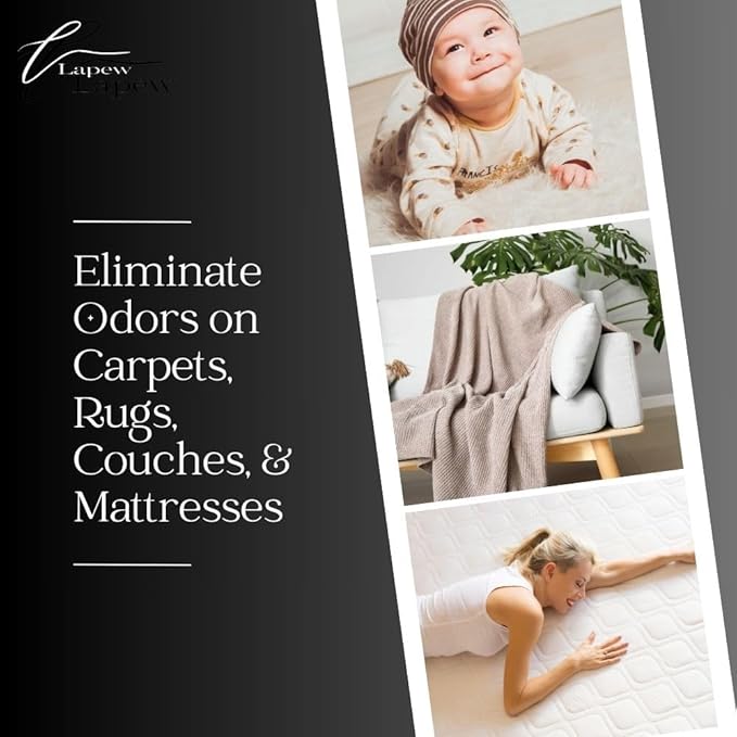 Almond Biscotti Carpet Freshener Powder: Powerful Odor Eliminator for Home, Upholstery Deodorizer, Carpet Deodorizer, Pet Urine, Cat Litter Box - Nutmeg & Spice Fragrance