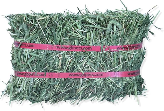 Grandpa's Best Timothy Hay Mini Bale, 10 Lbs (Packaging may vary),Brown