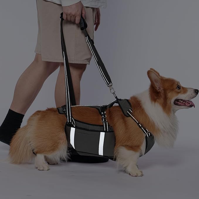 COODEO Mobility Dog Lift Harness, Emergency Carry Sling, Pet Rear Leg Support Rehabilitation Lifts Vest, Dog Carrier for Senior Dogs Joint Injuries, Arthritis (Military Green, M)