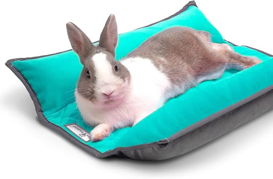 Paw Inspired Snuggle Bunny Bolster Bed for Rabbits, Cats, Dogs and Other Small Pets, Reversible Fleece Flop Bedding with Padded Sides (Gray/Green)